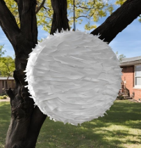 Pinata create your Own